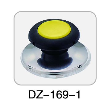 DZ-169 （colorful）