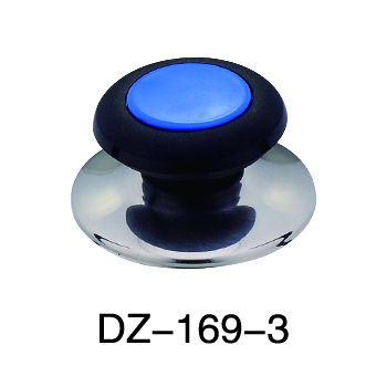 DZ-169 （colorful）