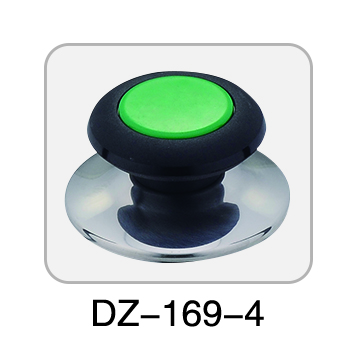 DZ-169 （colorful）
