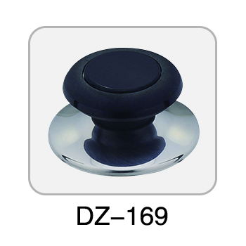 DZ-169 （colorful）
