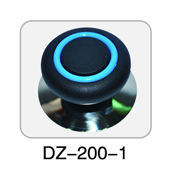 DZ-200 （colorful）